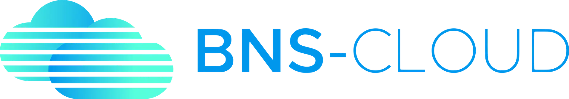 BNS cloud logo